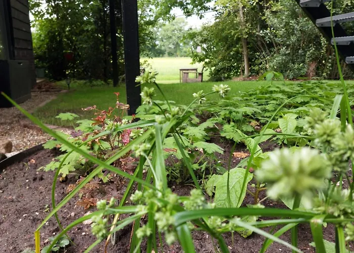 Natuurlijk Op Den Berg Appartamento Rekken